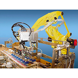 Robotic Case Packers