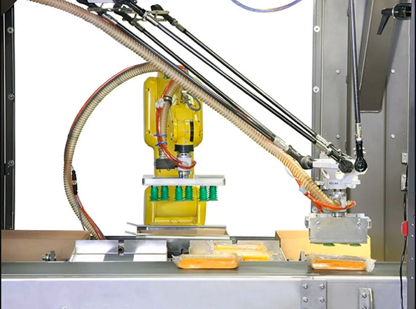 Vision Guided Packaging Robotic Packaging
