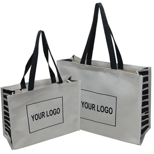 Laminated Canvas Bag