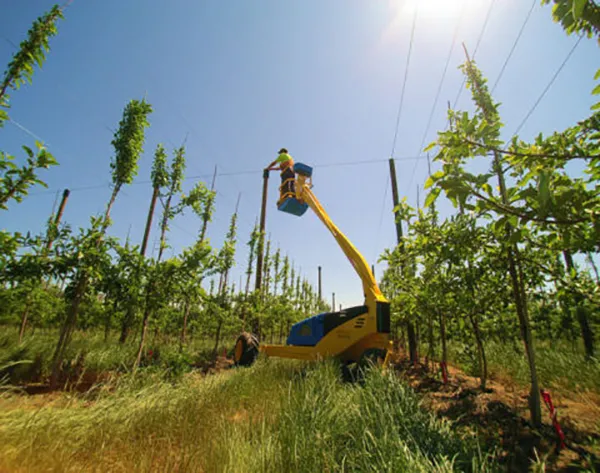 ORCHARD EQUIPMENT