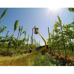 ORCHARD EQUIPMENT