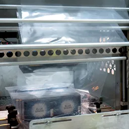 SHRINK WRAPPING