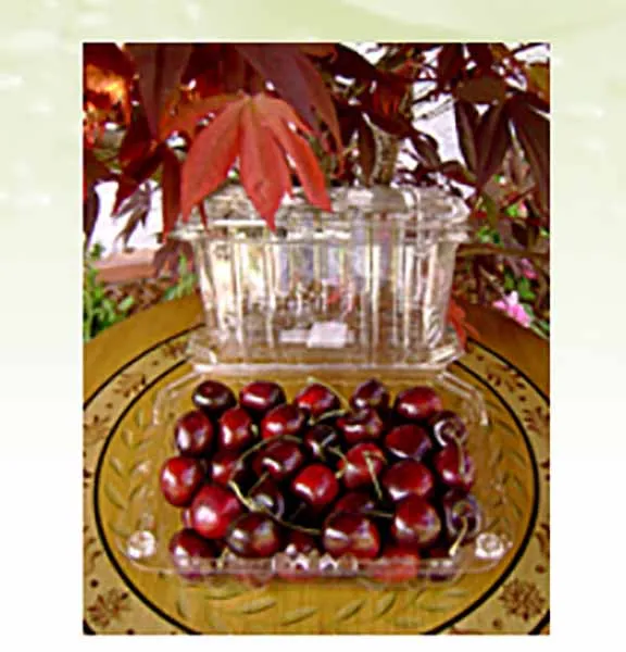 Cherry Clamshells
