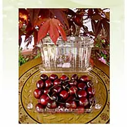 Cherry Clamshells