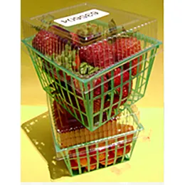 Polypropylene (PP) Strawberry
