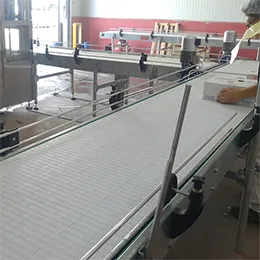 Case Conveyors Machine