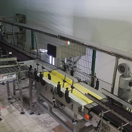 Checkweigher Machine