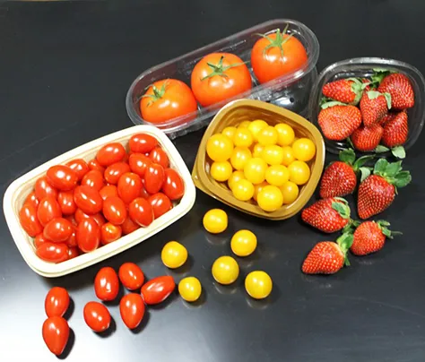 CUSTOM FOOD PACKAGING