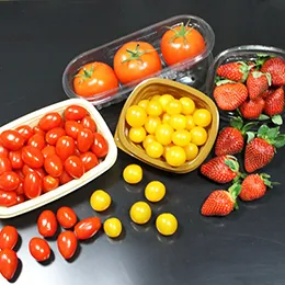 CUSTOM FOOD PACKAGING