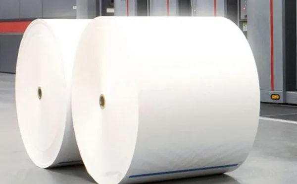 Paper Industry