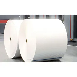 Paper Industry