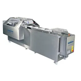 Cartoning machines continuous two flap sealer