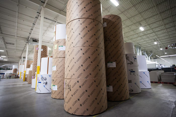 Custom Packaging Materials