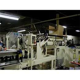 Model 110 Cartoning Machine