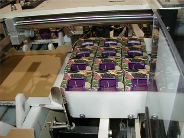 Model 130T Tray Packing Machine