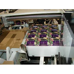Model 130T Tray Packing Machine
