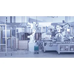 TS810 CASE PACKER