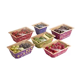ProducePack Punnet