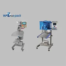 Bag in Box Filling Machine, BIB Packing Machine