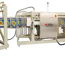 model 3100ex form fill-seal-ffs bagging machine