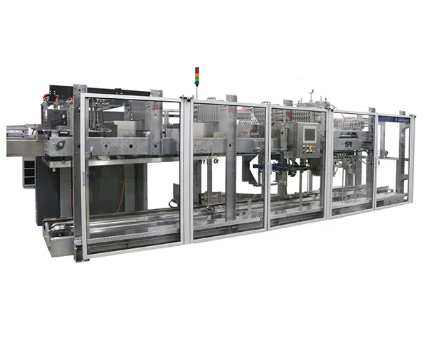 Model 2800 Servo Case Packer