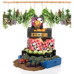 Fruits and vegetables