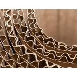 CORRUGATED PACKAGING
