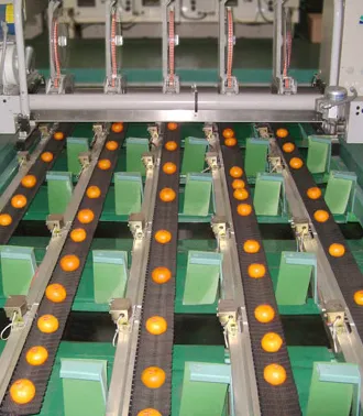SINCLAIR RM6 - HIGH SPEED LABELLER