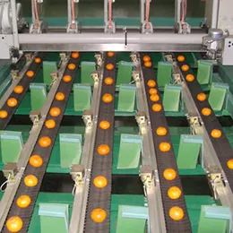 sinclair rm6-high speed labeller