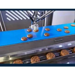 Preferred Choice for Hygienic Flow Wrapper Loading
