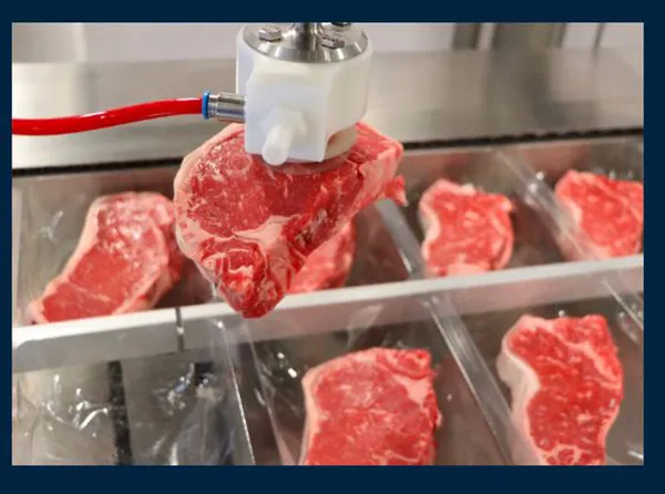 The Preferred Food-Safe Choice for Hygienic Thermoformer Loading