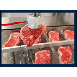 The Preferred Food-Safe Choice for Hygienic Thermoformer Loading