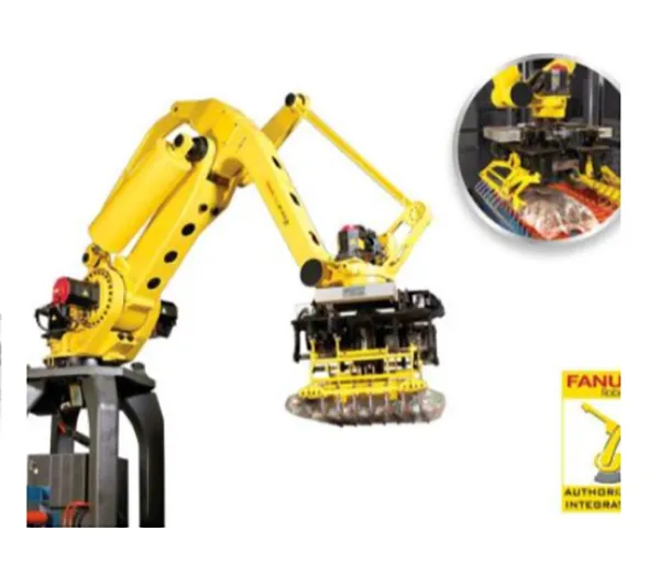 Robotic Produce Palletizing System