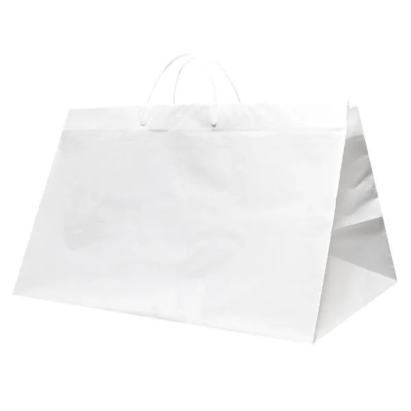 LARGE WIDE GUSSET CLIP LOOP TAKE OUT BAG