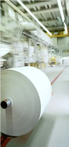 Thermal papers