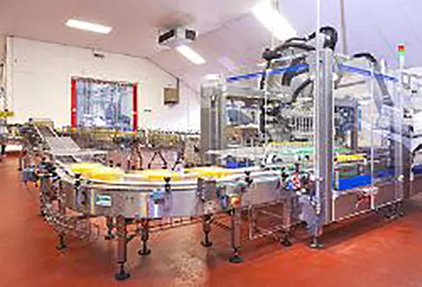 Stainless Steel Conveyors