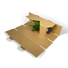 Wrapped plant shipping packaging