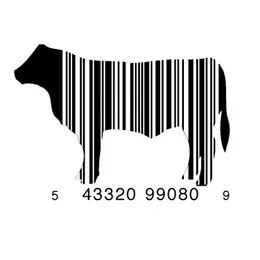 BUTCHER LABELS