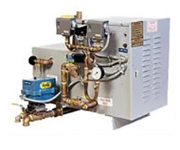 Steam Generator Model LSHS-30