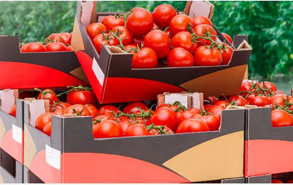 Cardboard packaging
