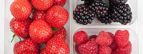 Soft Fruit Packaging