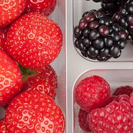 Soft Fruit Packaging