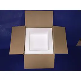 Polystyrene Packaging