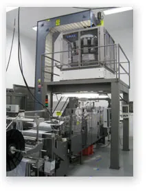 Form fill & seal