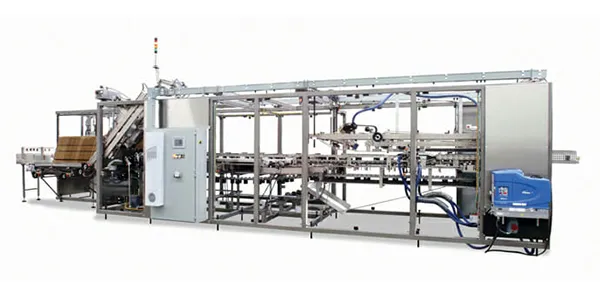 Continuous Motion Case Packer