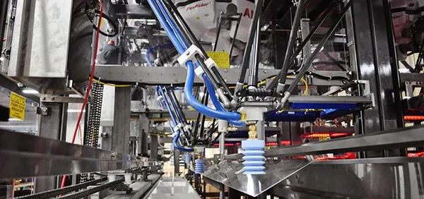 Robotic Flex Pickers