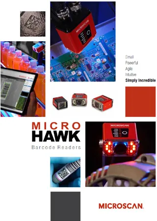 Micro Hawk