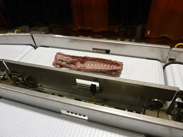 BELT CONVEYORS