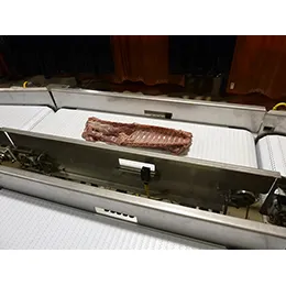 BELT CONVEYORS