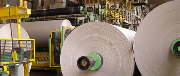PAPER MANUFACTURING
